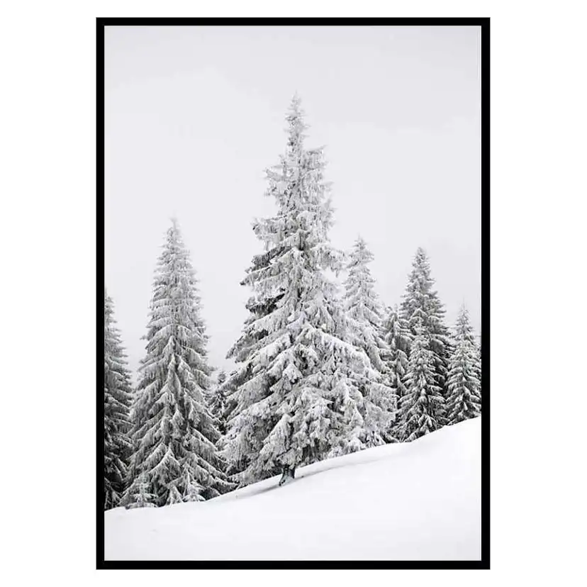 Poster Gallerix Spruce In Winter