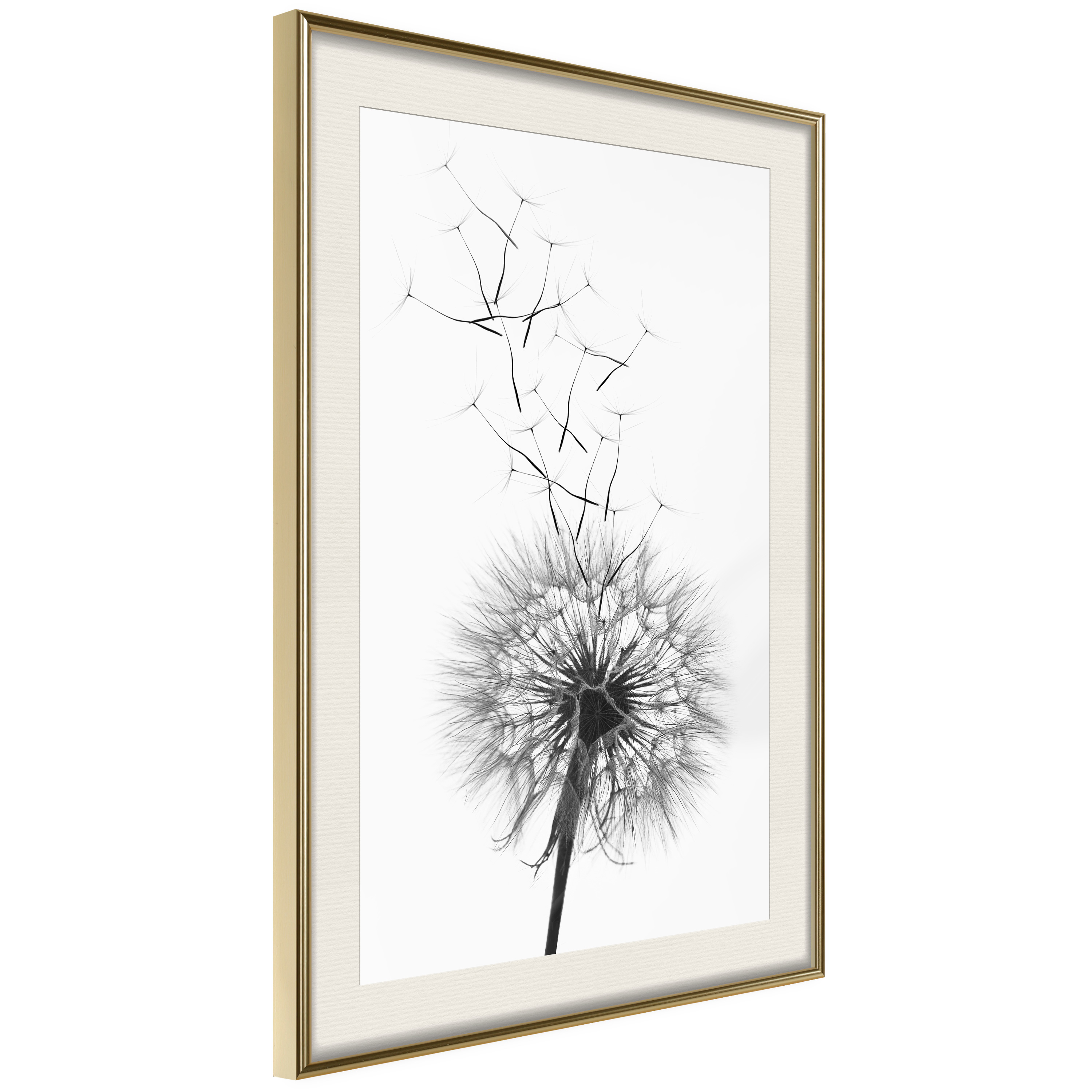 Affisch - Dandelion [Poster] 30x45 Guld ram med passepartout, 30x45 cm