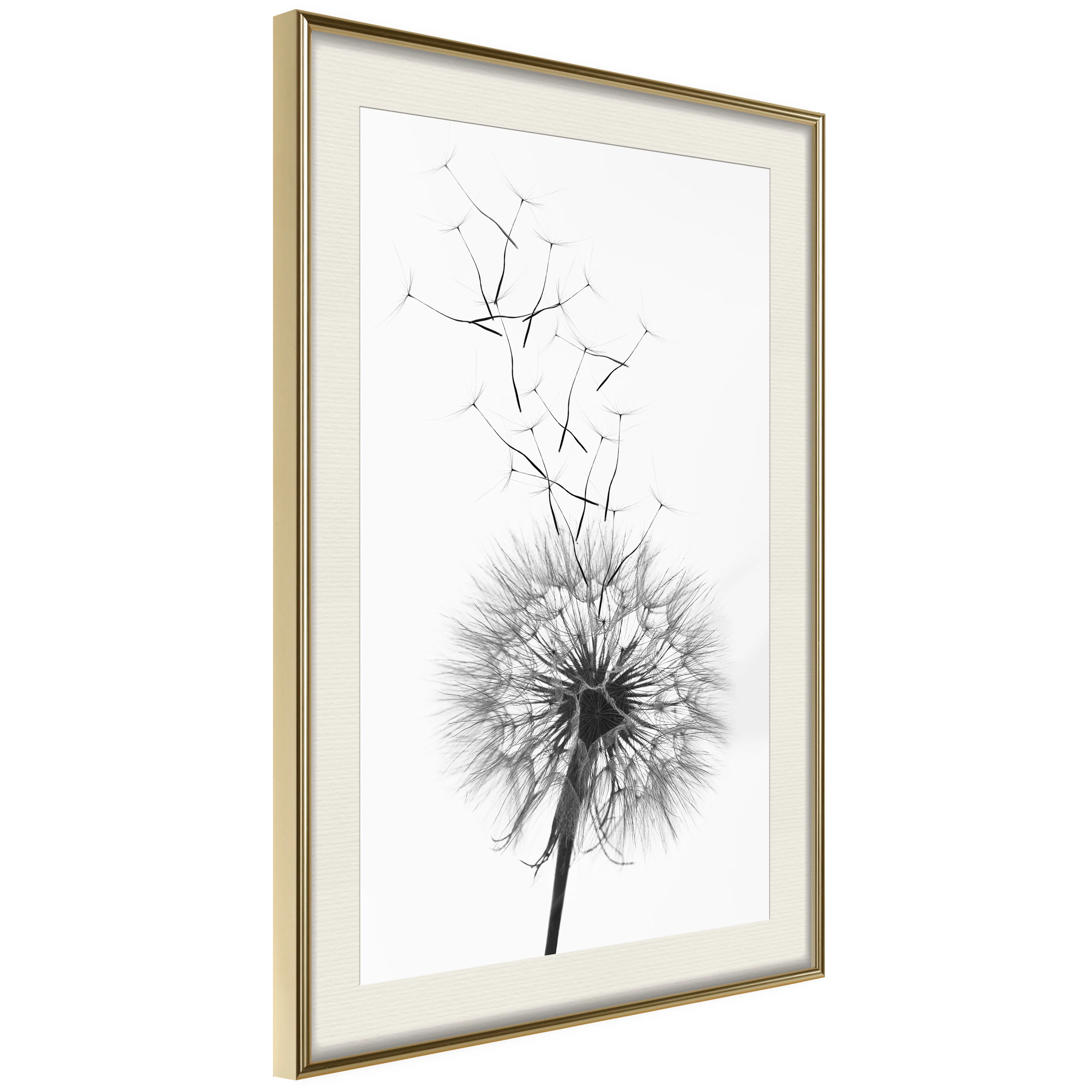 Poster Artgeist Affisch Dandelion