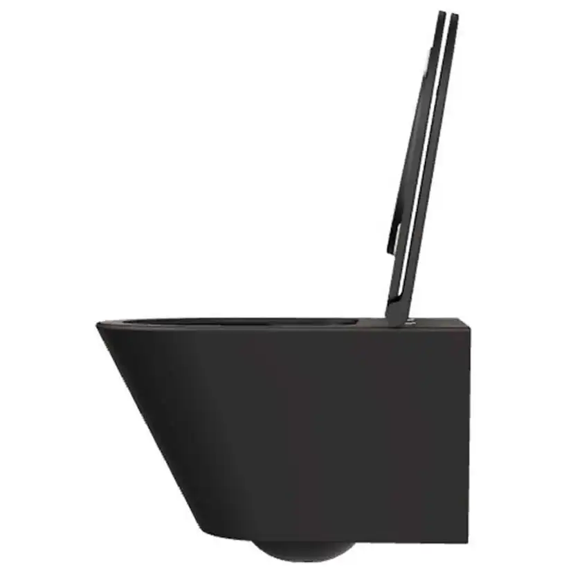 Vägghängd Toalettstol Lavabo Forma