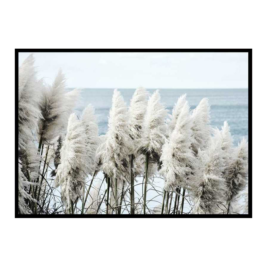 Toitoi Grass 70x100 cm