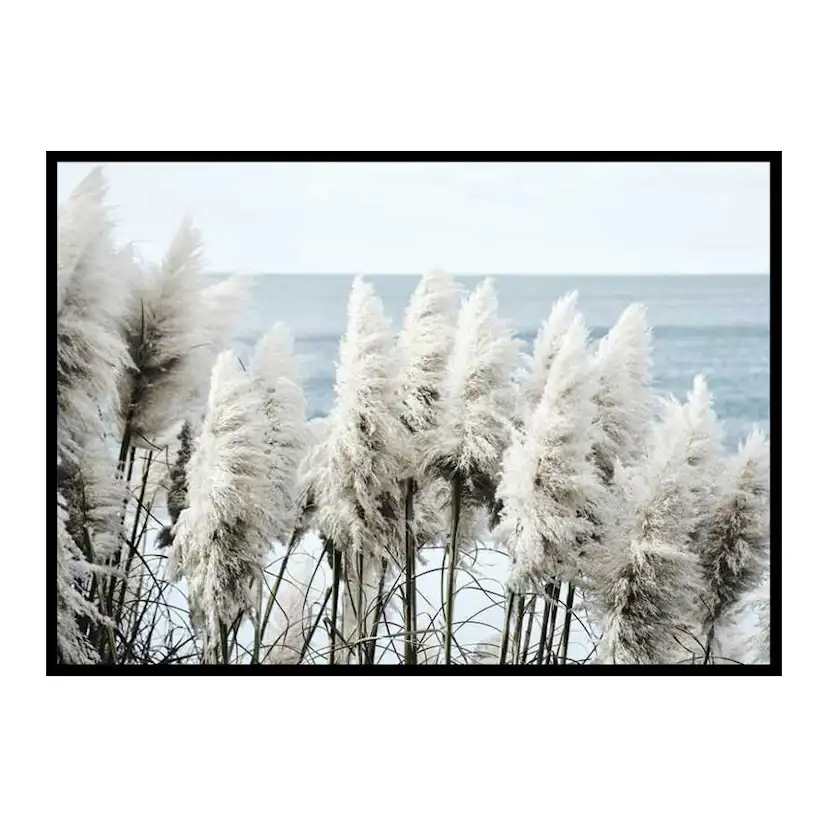 Toitoi Grass 70x100 cm