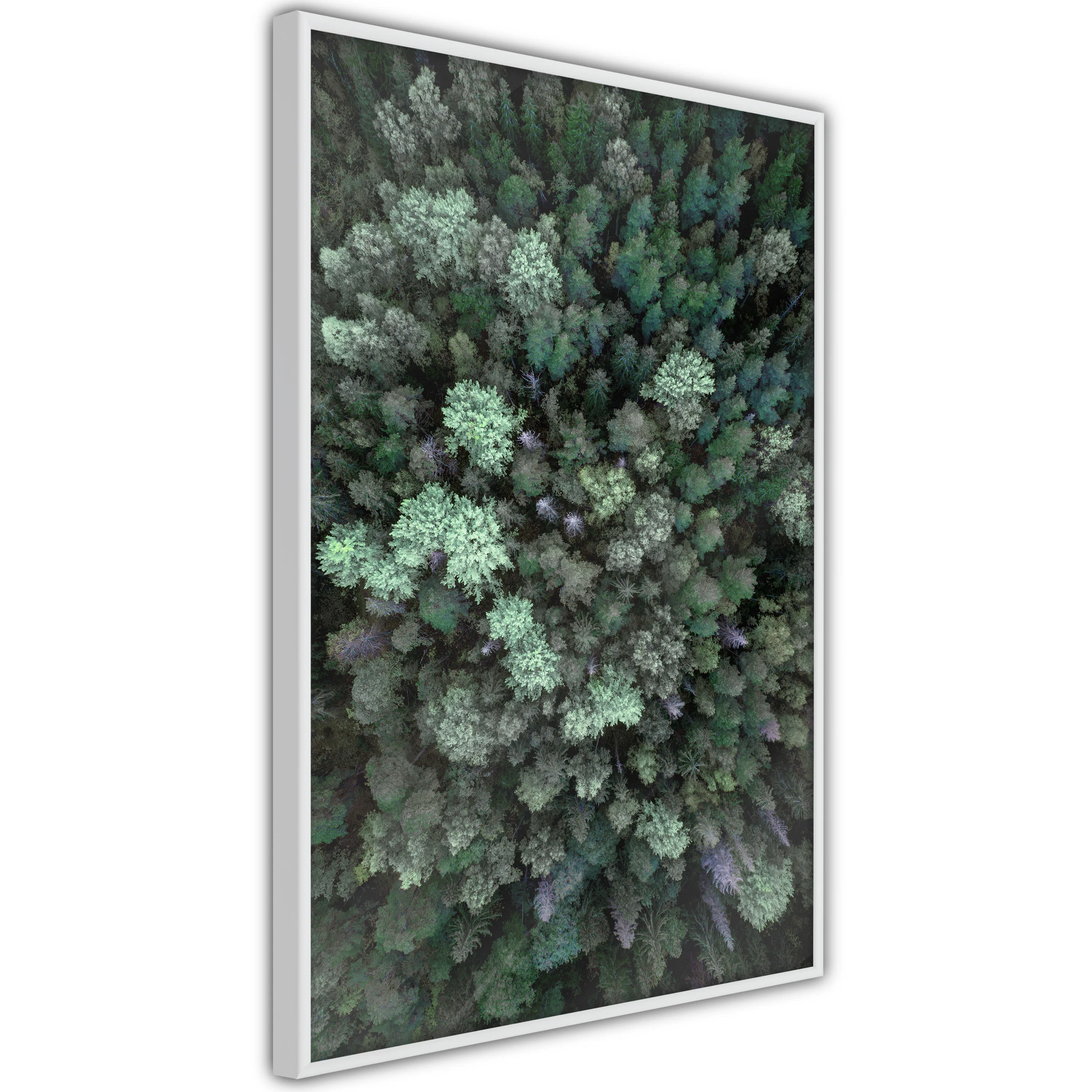 Poster Artgeist Affisch Flying Over Forest