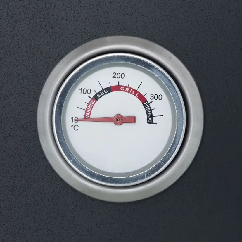 Pizzaugn Mustang för Gasolgrillar