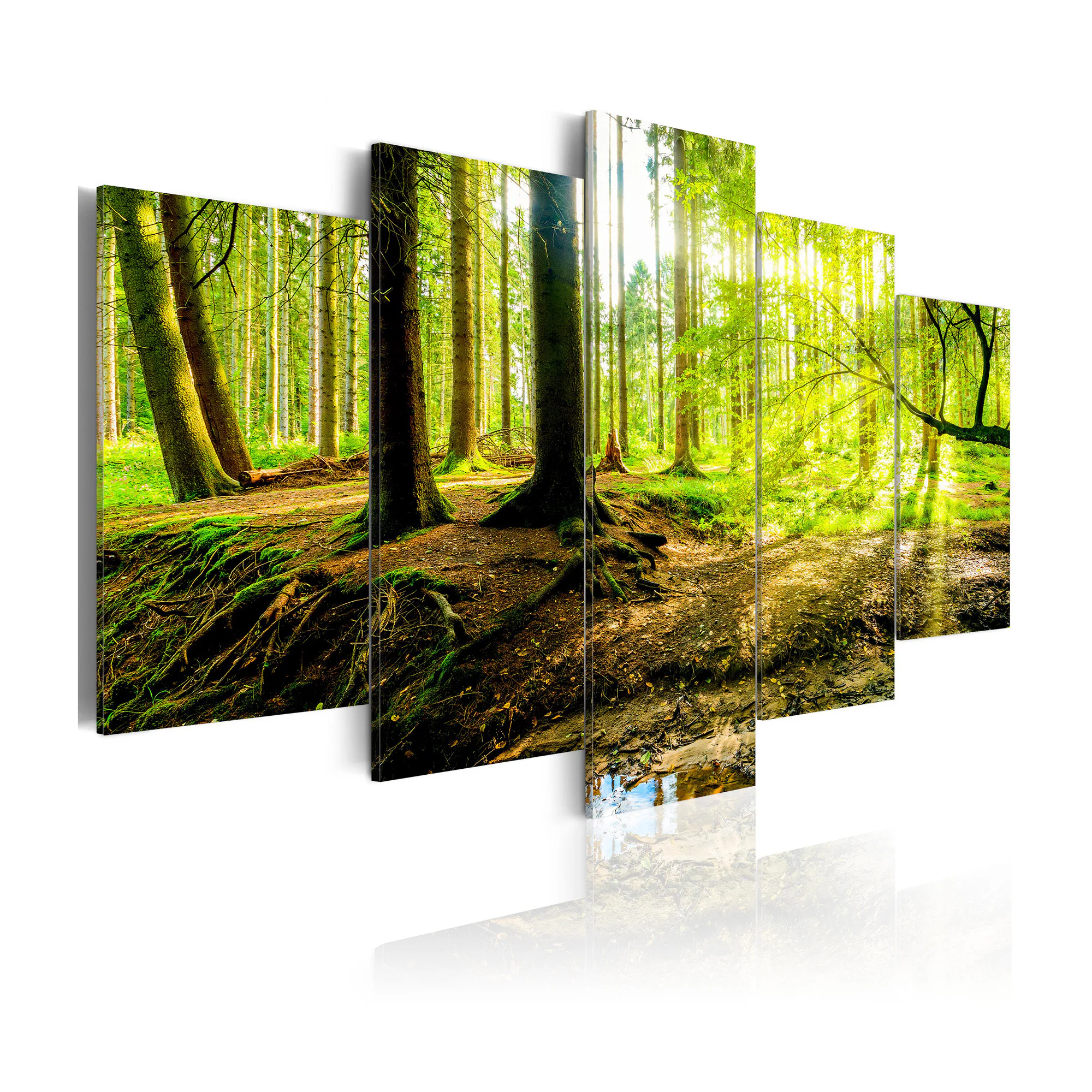 Tavla Arkiio Poetry Of A Forest