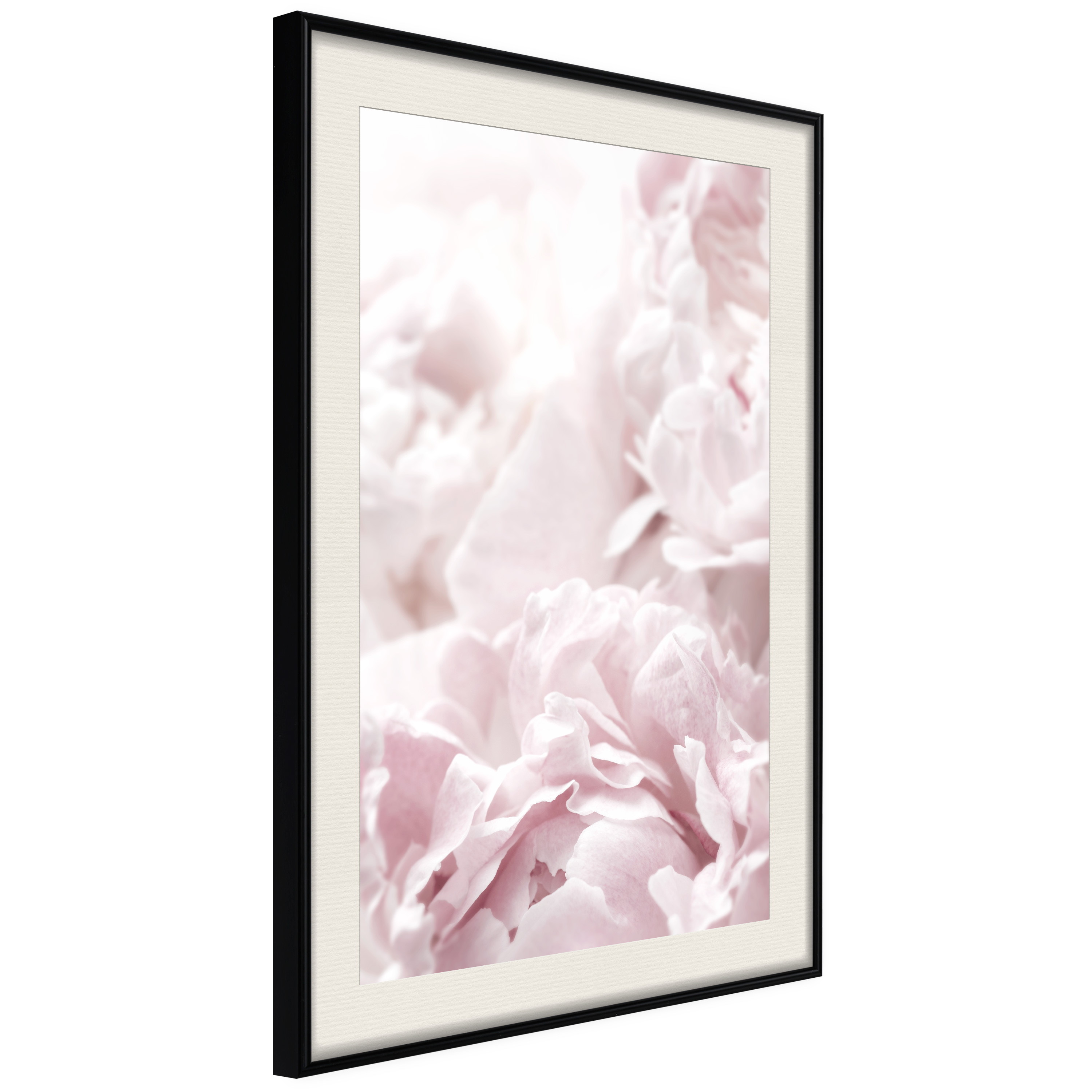 Affisch - Fluffy Peonies [Poster] 30x45 Svart ram med passepartout, 30x45 cm