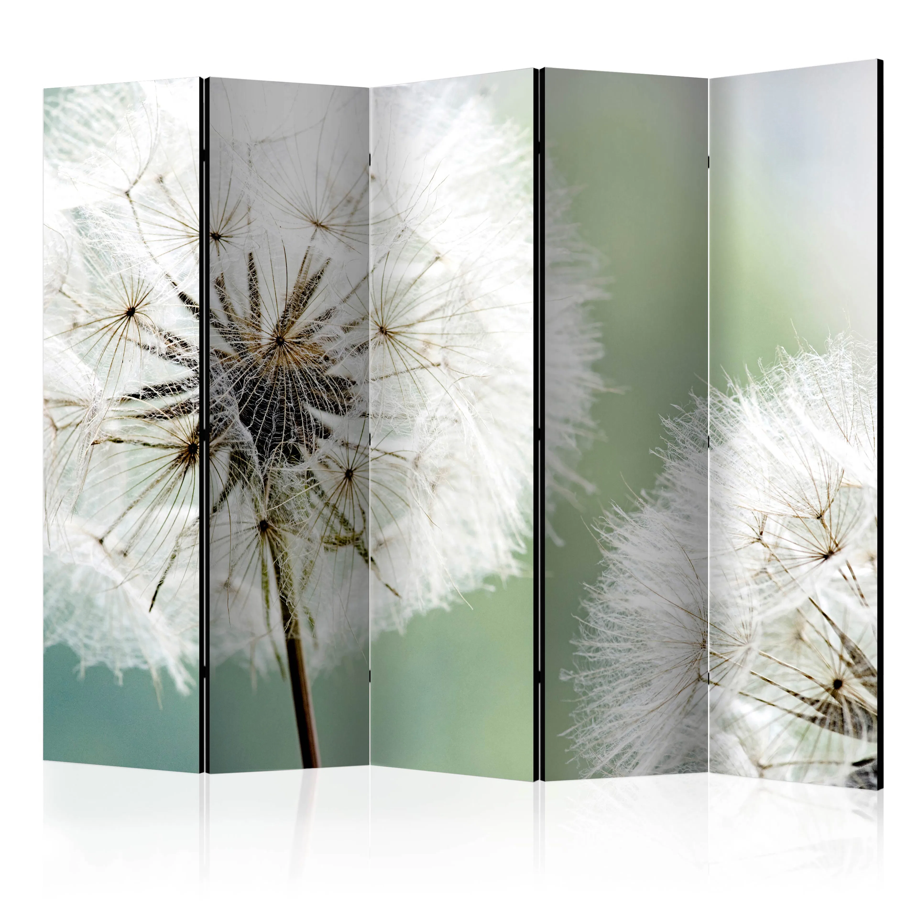 Rumsavdelare Arkiio Two Dandelions II 225x172 cm