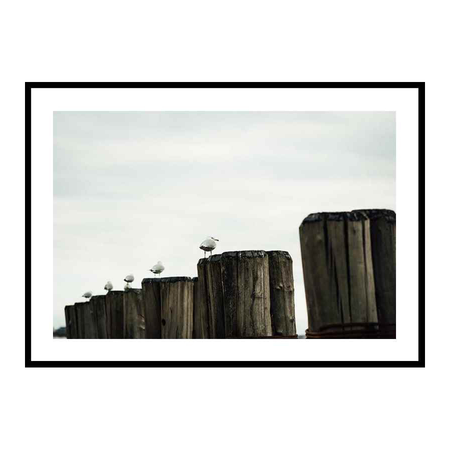 Poster Gallerix Seagulls Harbor