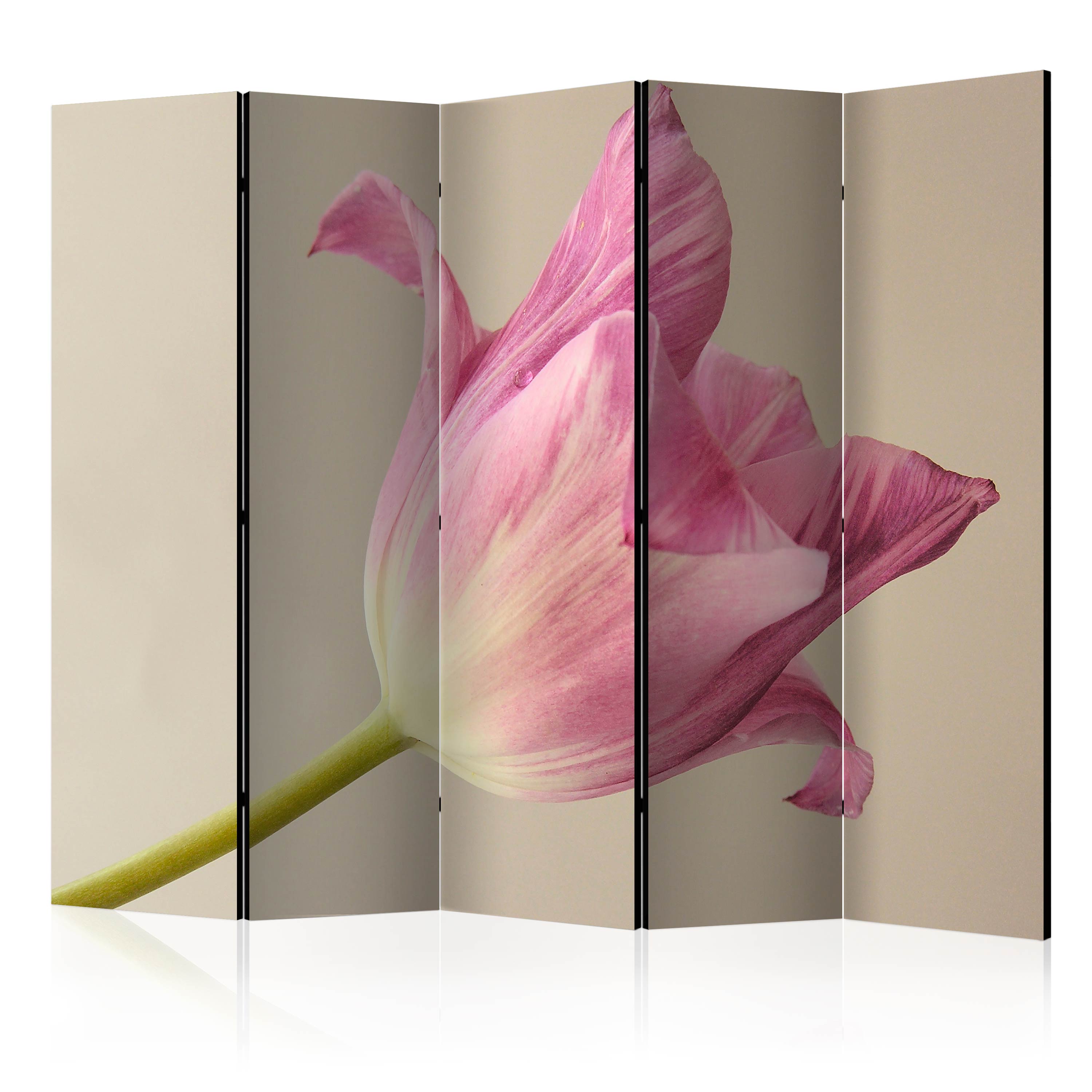 Rumsavdelare Arkiio Pink Tulip II 225x172 cm