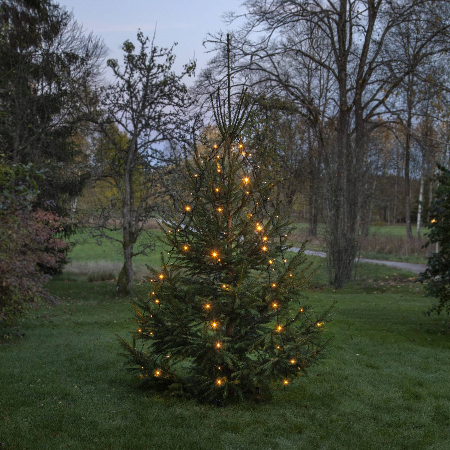 Ljusslinga Star Trading Extra System 24 Tree light Extra