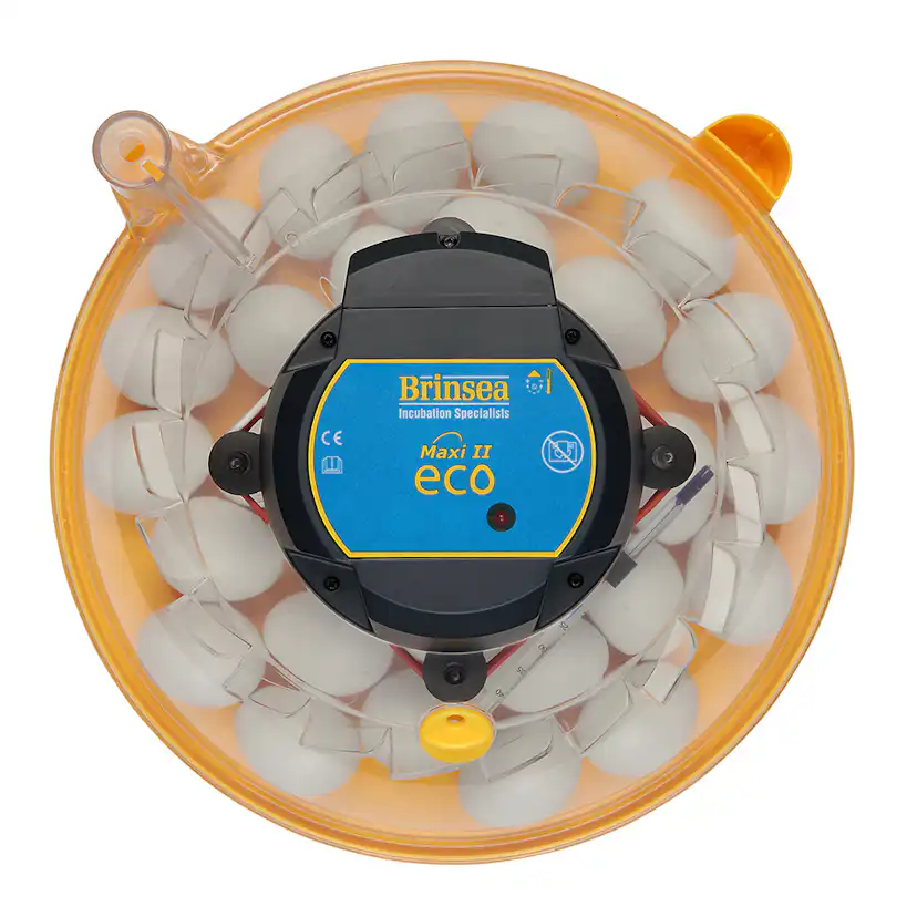 Äggkläckare Brinsea Maxi II Eco