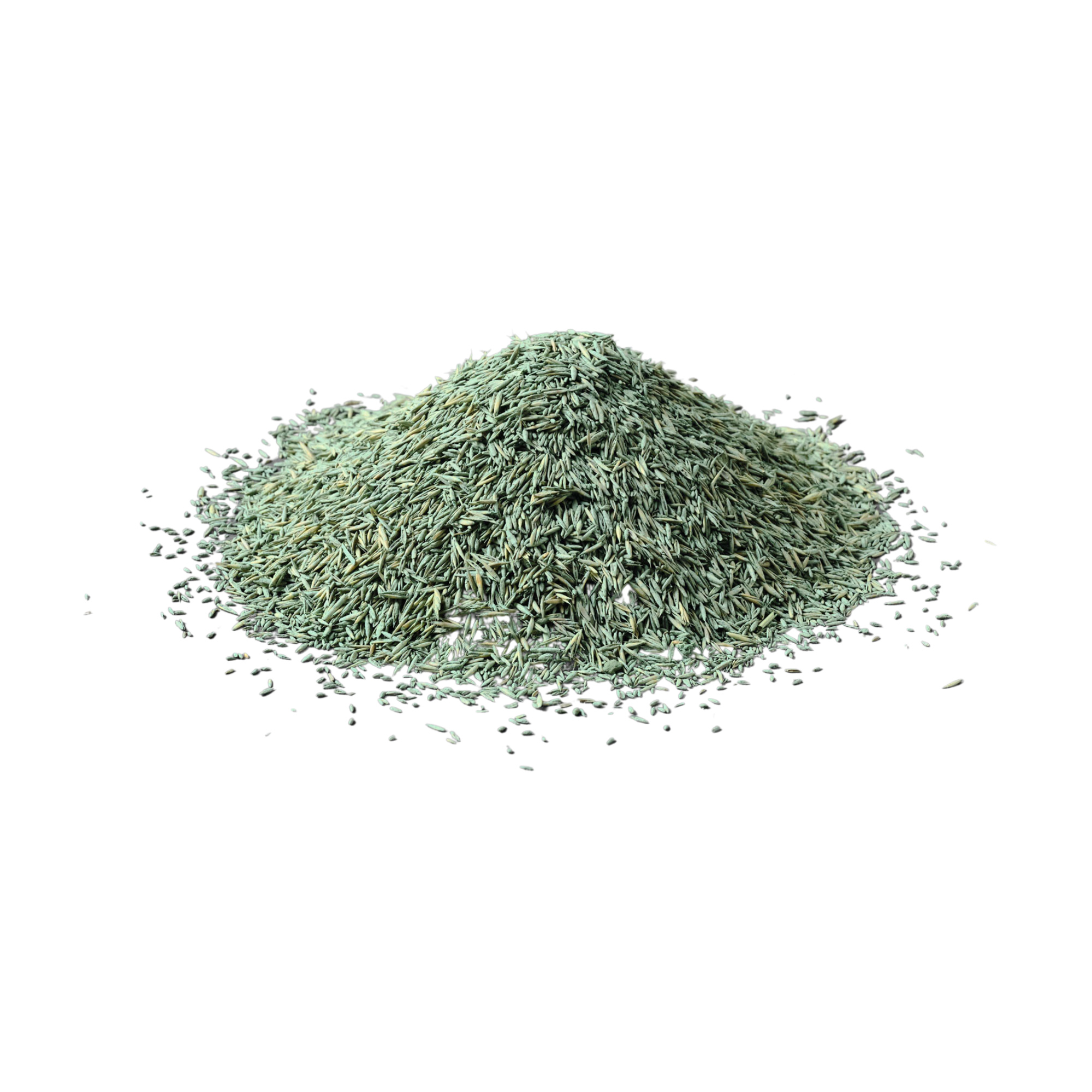 Gräsfrö Xeed Glänsa 1 kg