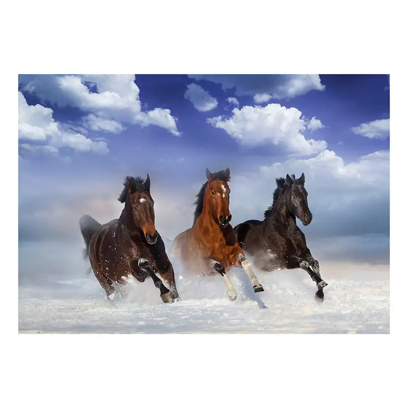 Fototapet Arkiio Horses In The Snow