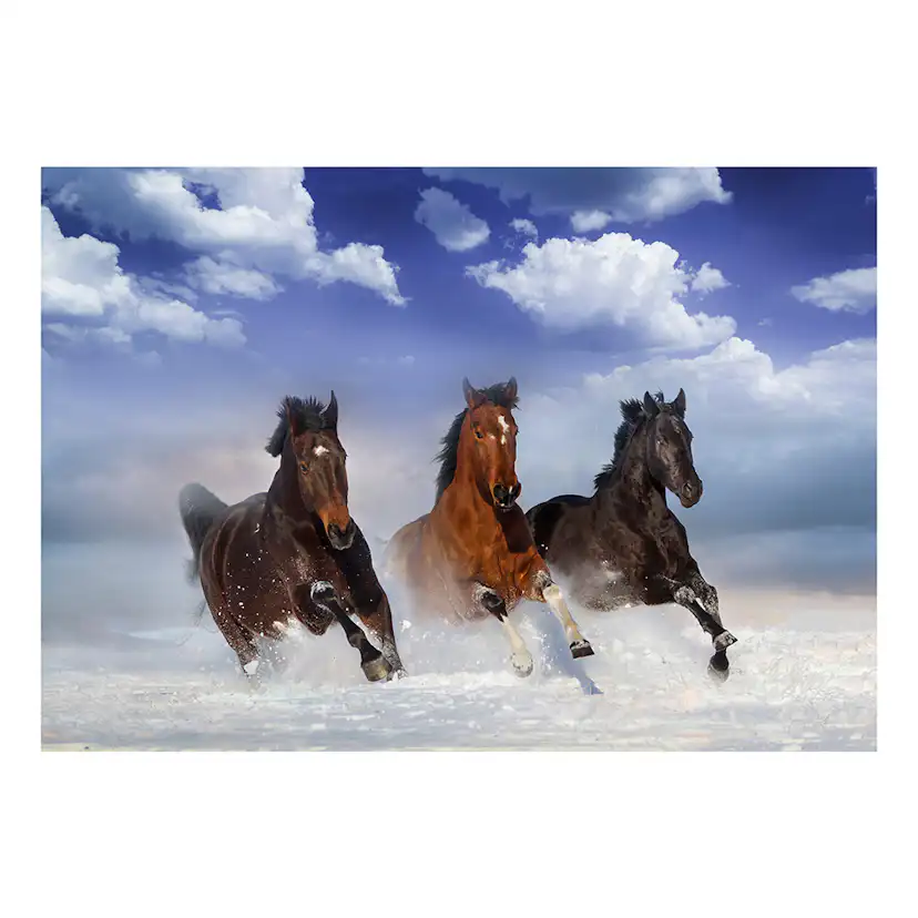 Fototapet Arkiio Horses In The Snow