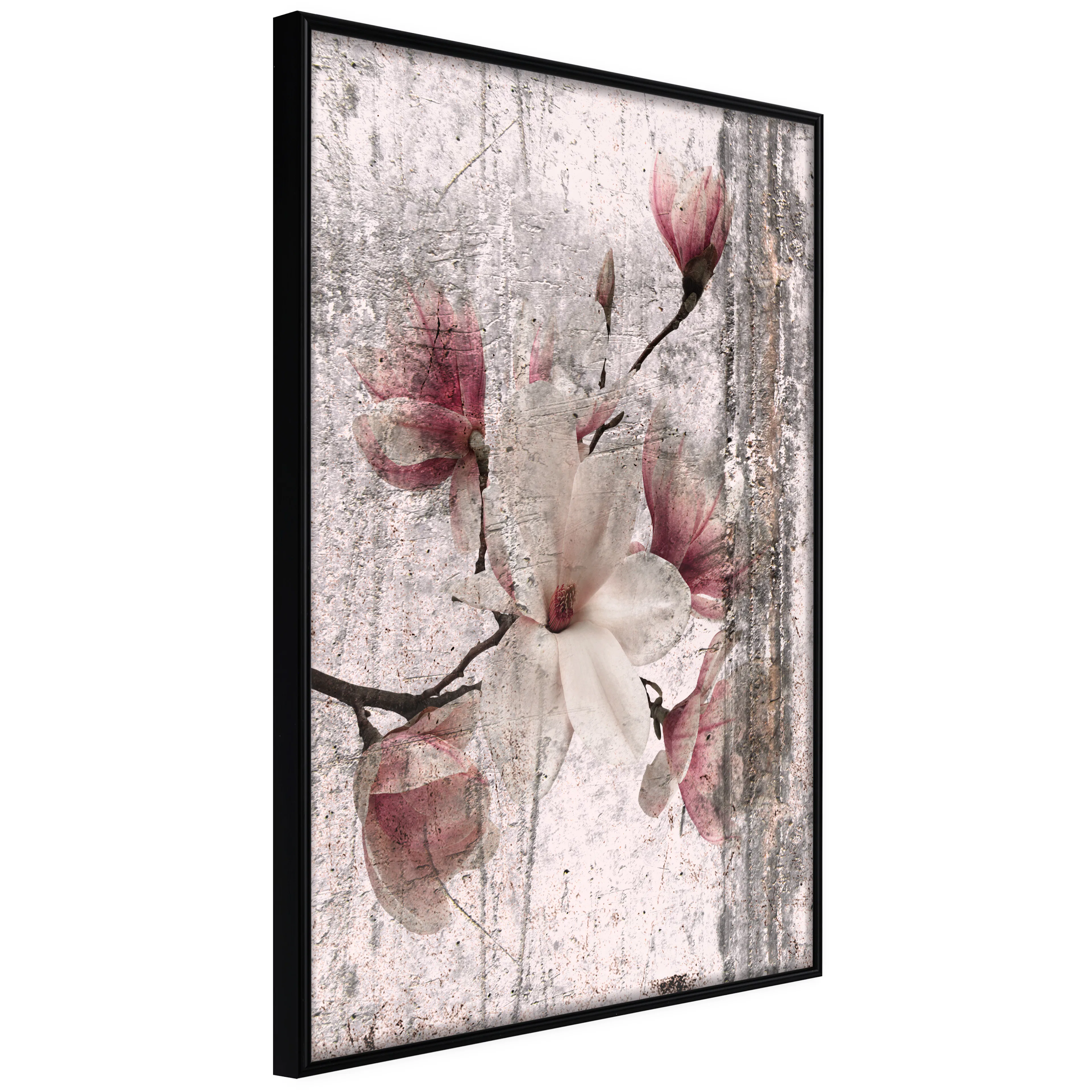 Affisch - Memorial Magnolia [Poster] 40x60 Svart ram, 40x60 cm