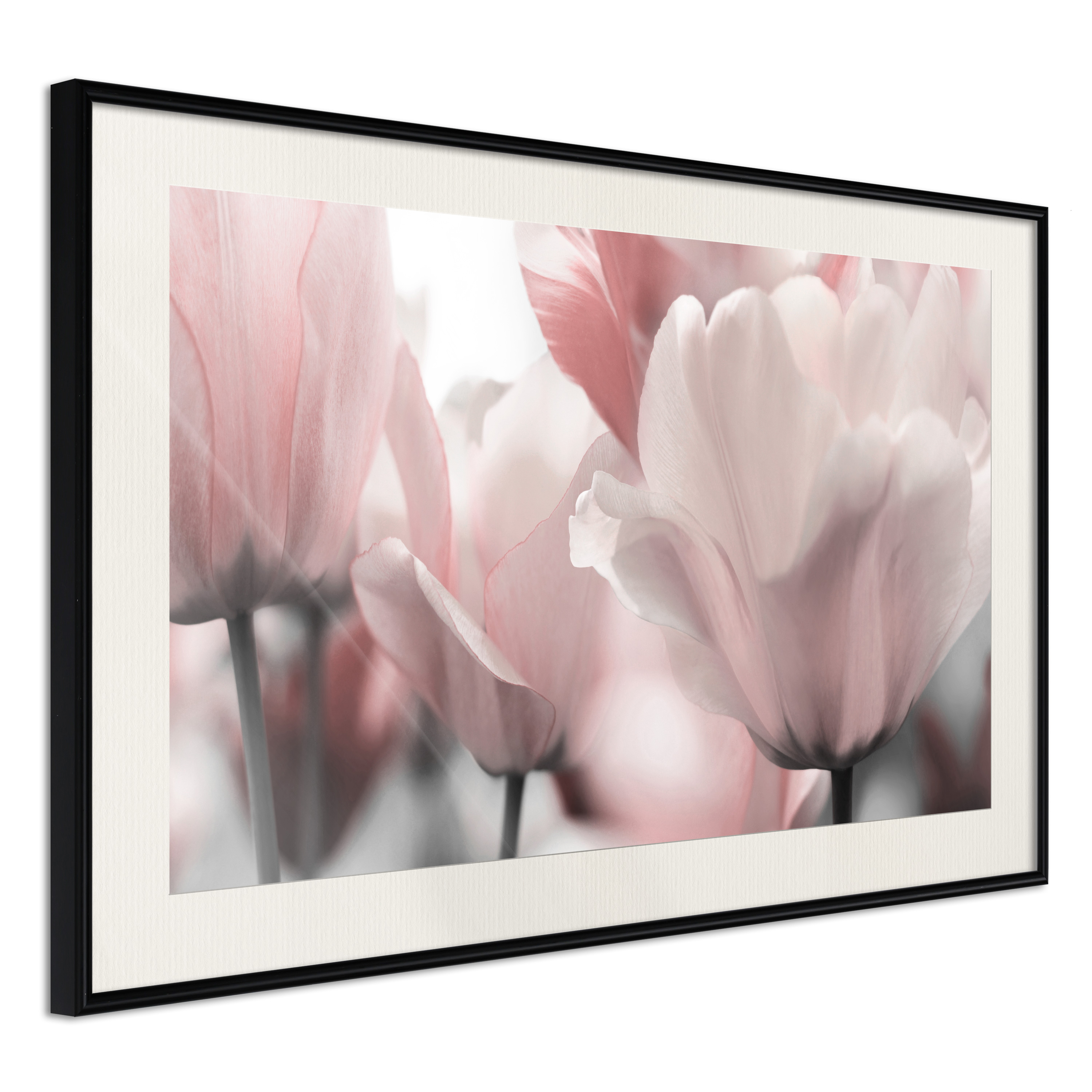 Affisch - Fabulous Tulips [Poster] 60x40 Svart ram med passepartout, 60x40 cm