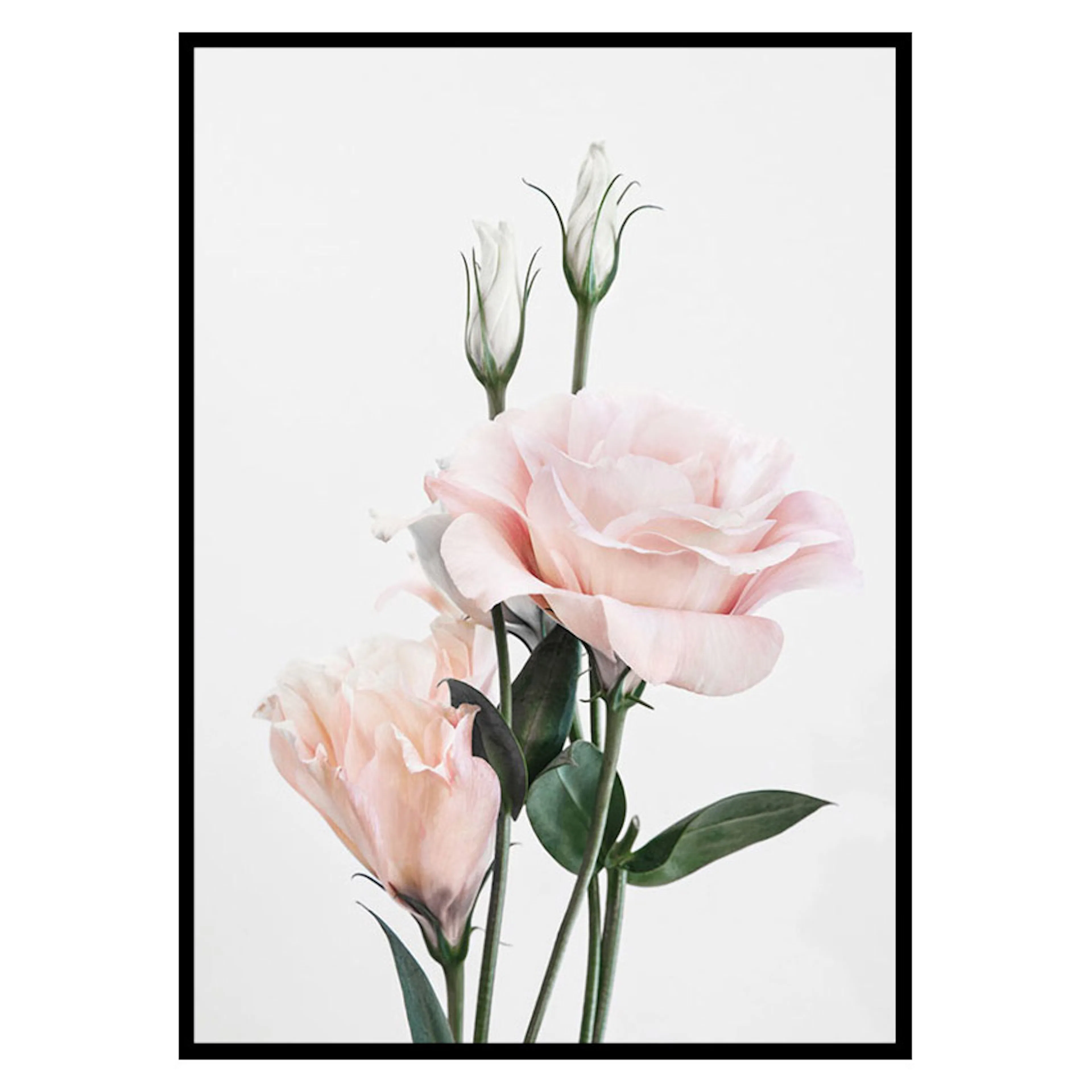 Poster Gallerix Rose Bouquet No1
