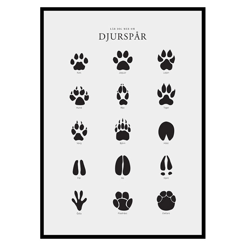 Poster Gallerix Djurspår