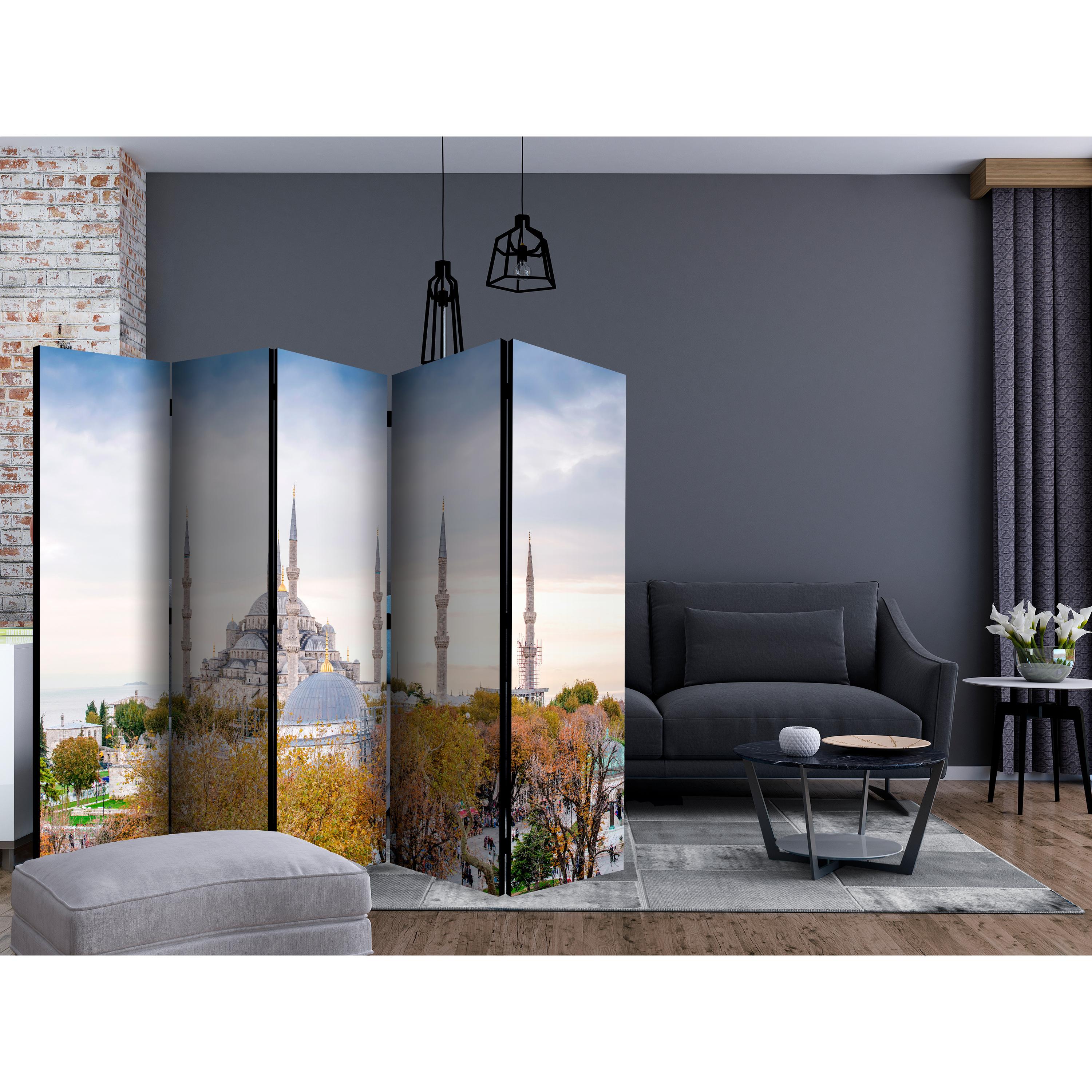 Rumsavdelare Arkiio Hagia Sophia Istanbul II 225x172 cm