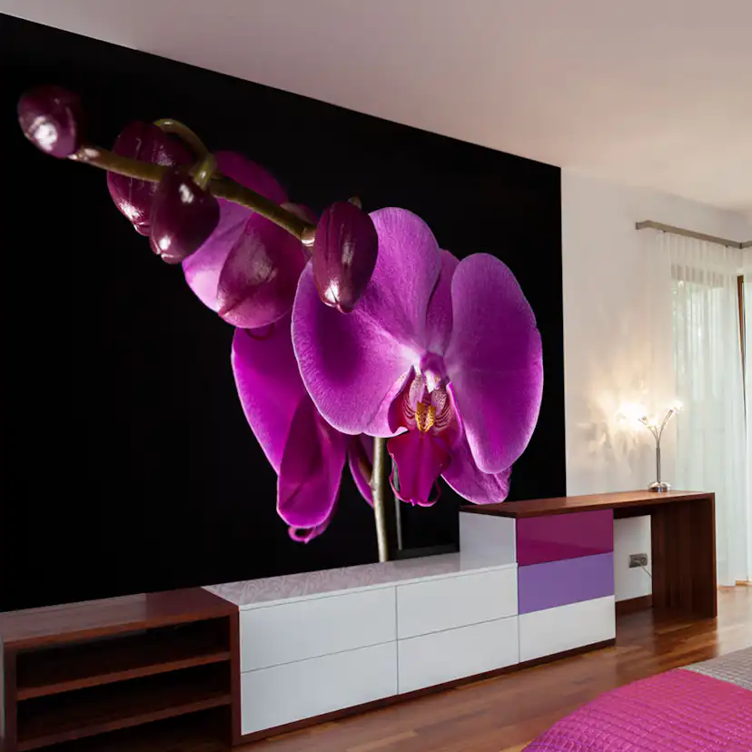 Fototapet Arkiio Elegant Orchis