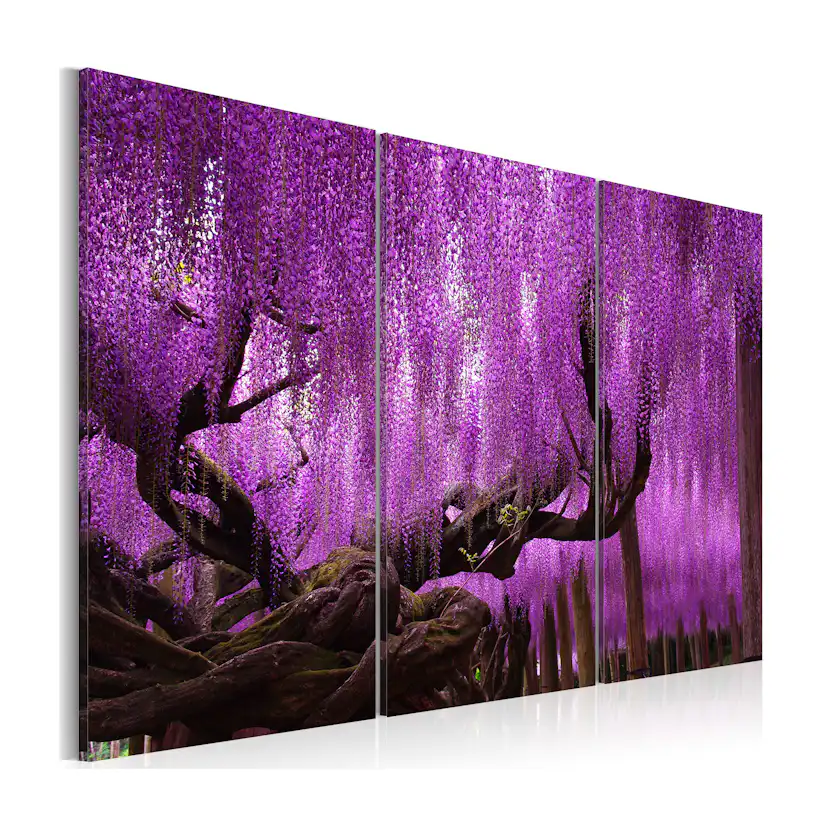 Tavla Arkiio Wisteria