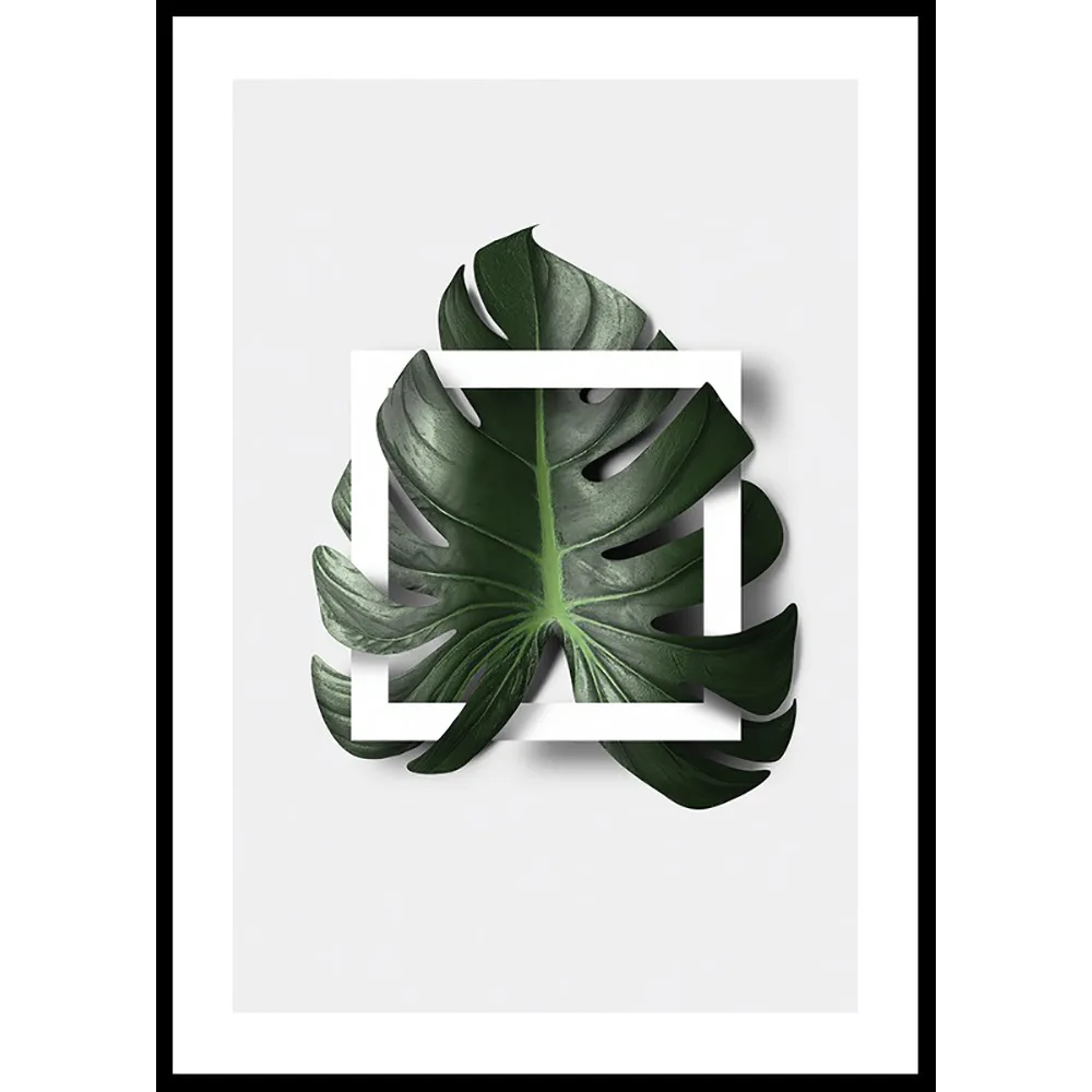 Poster Gallerix Monstera Boxed