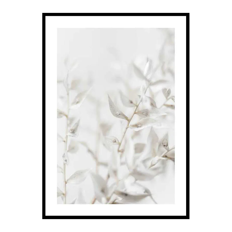 Poster Gallerix White Dried Flower