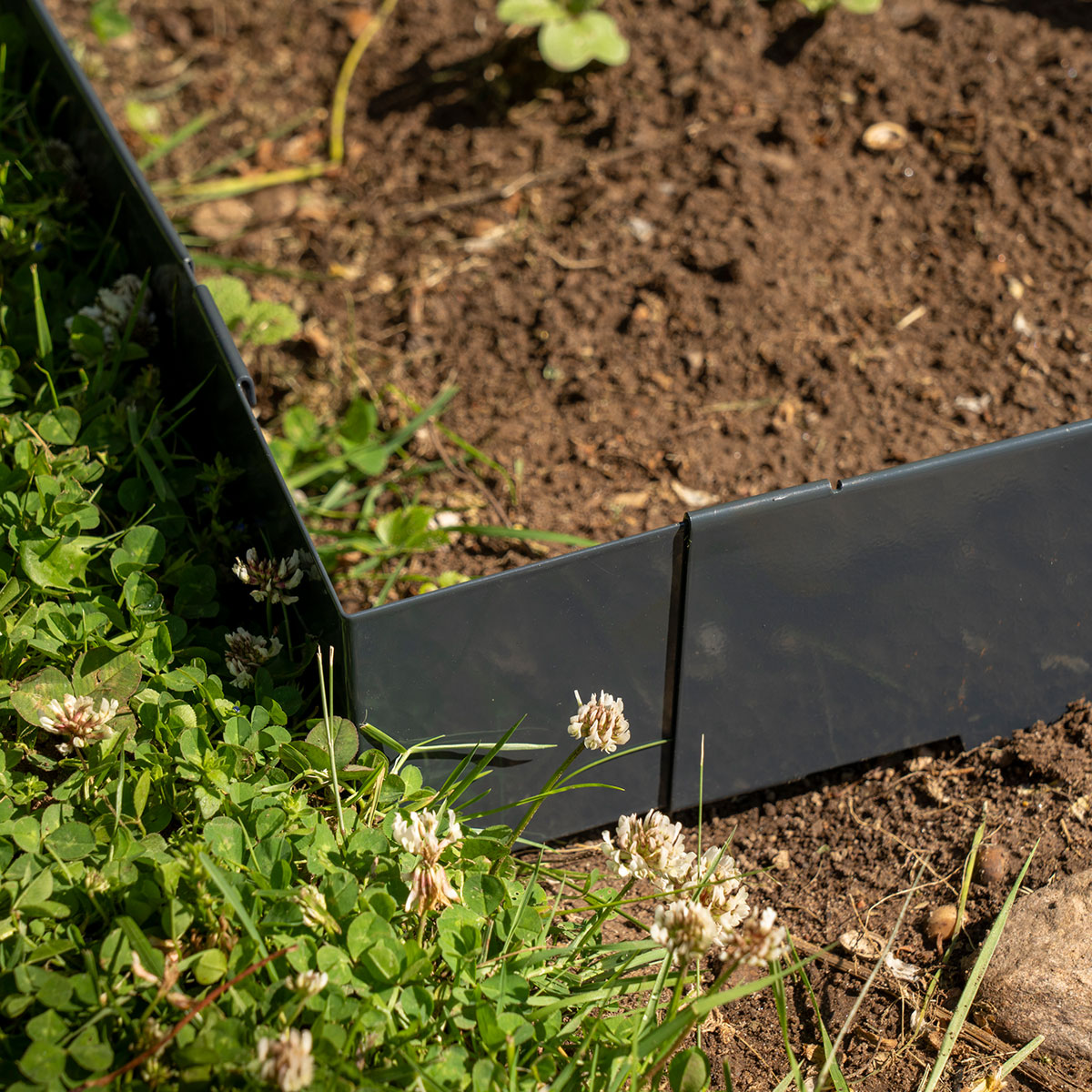Vinkel för rabattkant Skotte Garden 4-pack