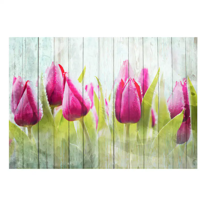 Fototapet Arkiio Tulips On White Wood