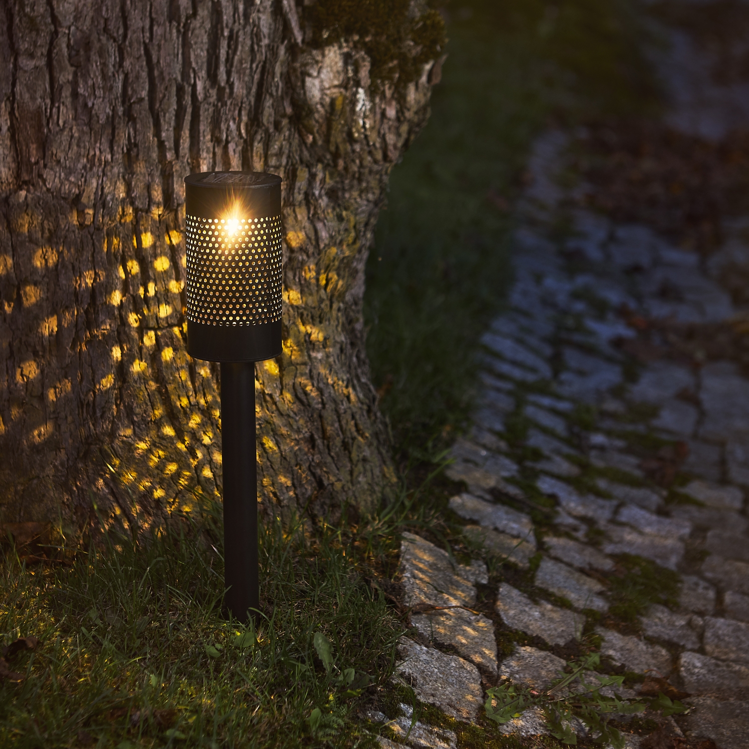 Solcells-pollare Star Trading Blace Gångljus