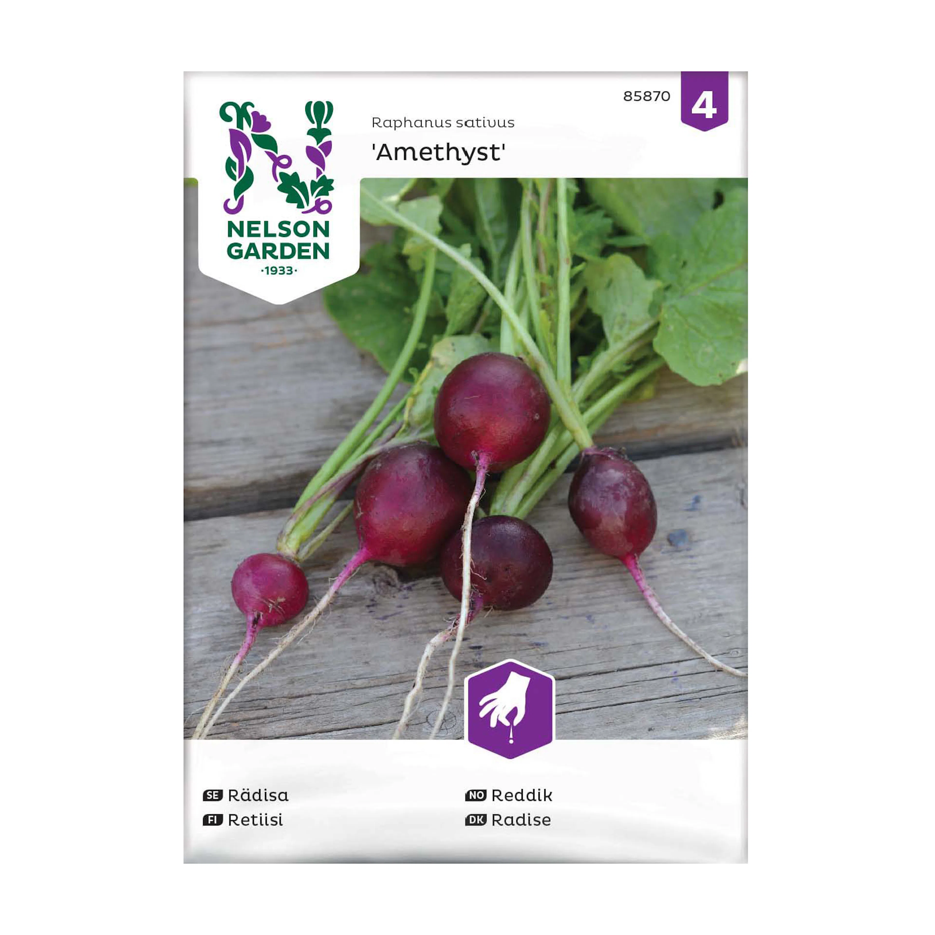 Frö Rädisa Nelson Garden Amethyst