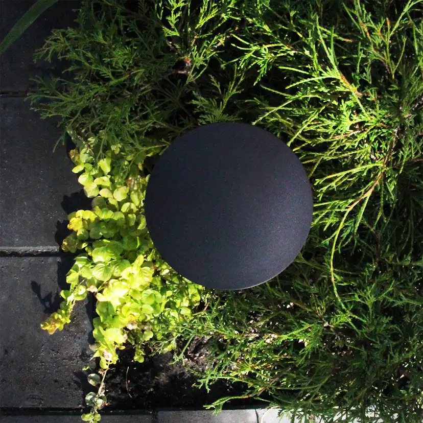 Pollare LightsOn Orbit