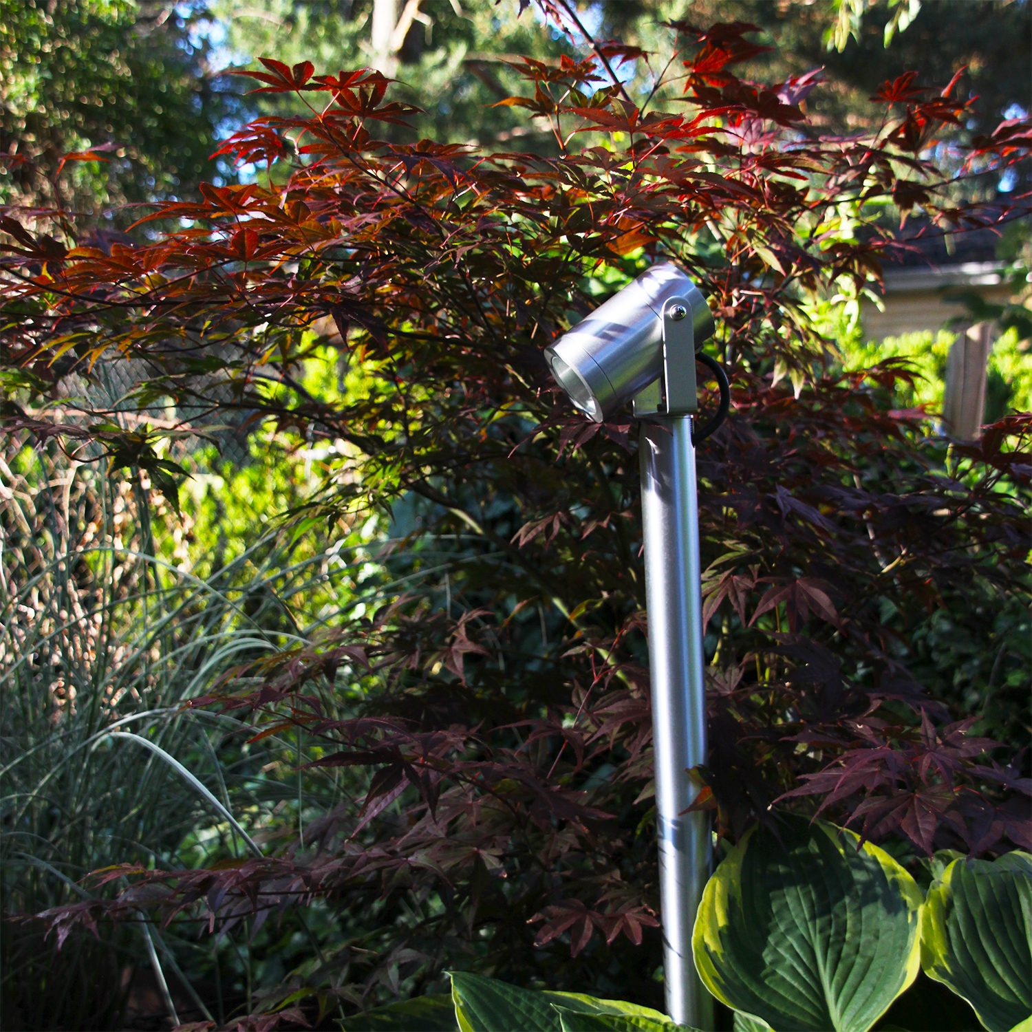 Pollare LightsOn Luna 65