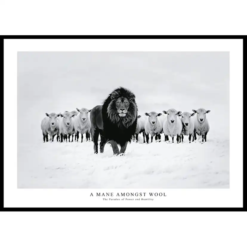 Poster Gallerix A Mane Amongst Wool