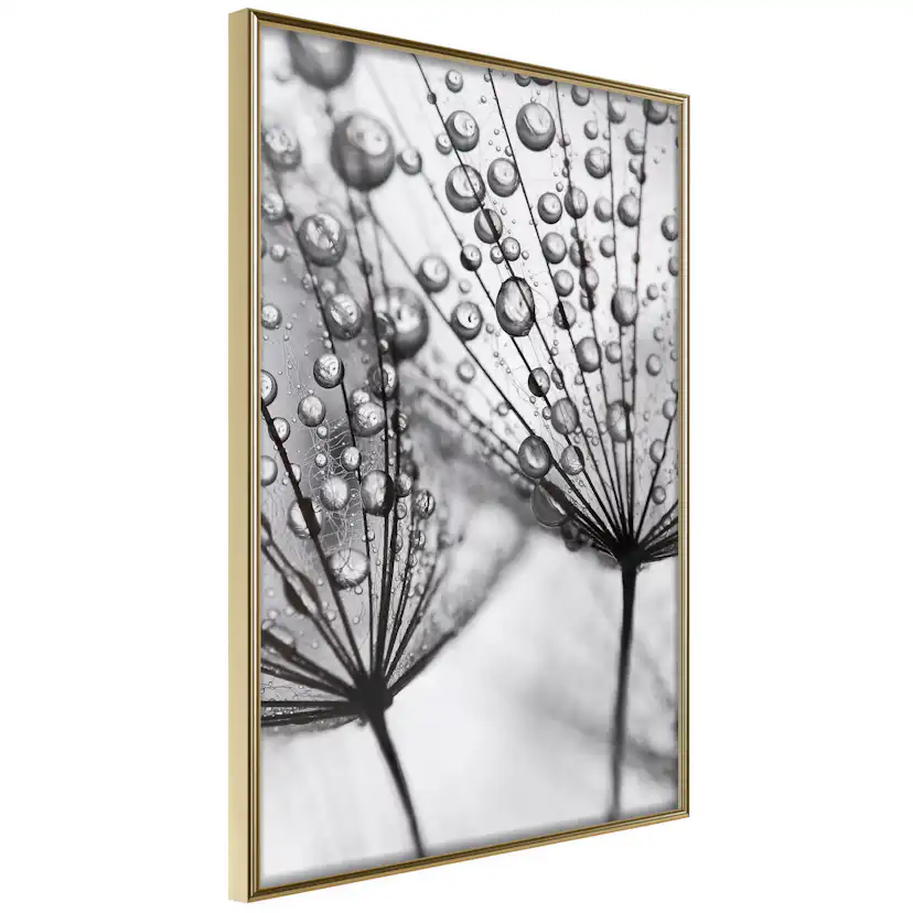 Poster Artgeist Affisch Morning Dew