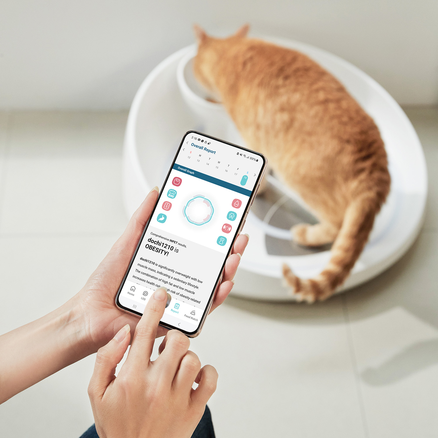 Kattvåg Våg Inpet CV1