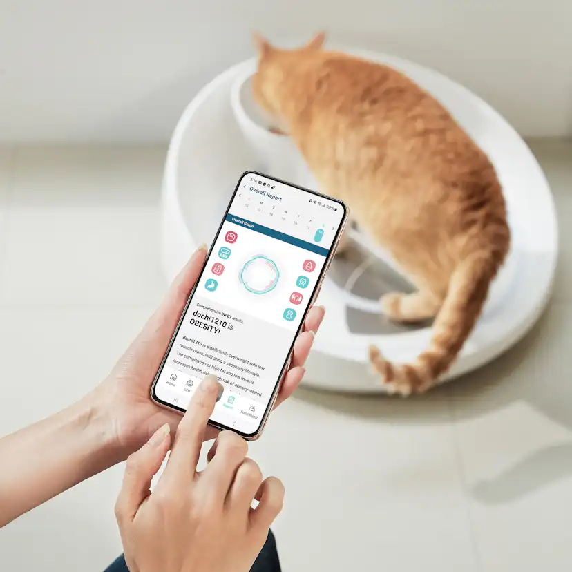 Kattvåg Våg Inpet CV1