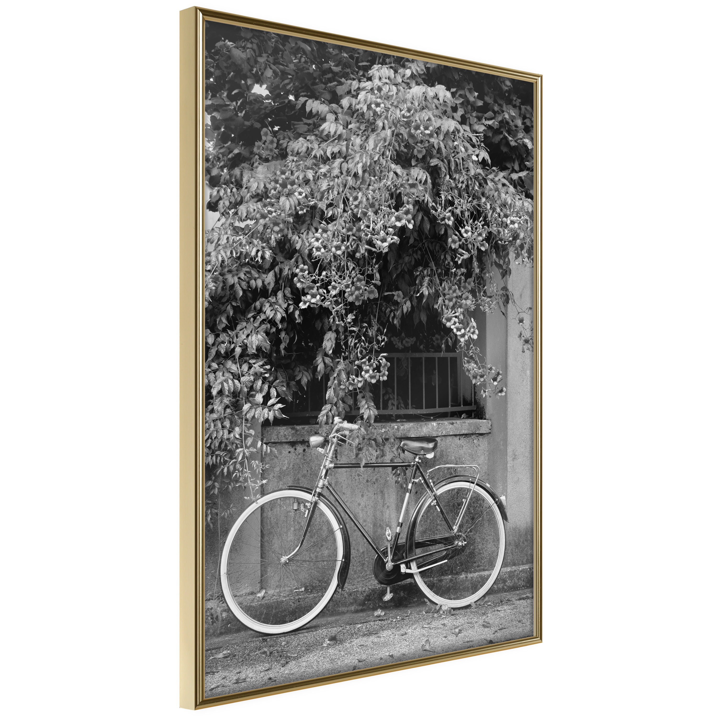 Affisch - Bicycle and Flowers [Poster] 20x30 Guld ram, 20x30 cm