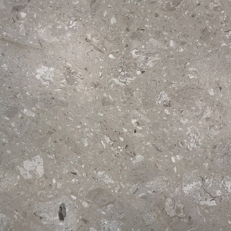 Marmor Italian Marble Terrazzo Perlato Royal Polerad 31x31 cm