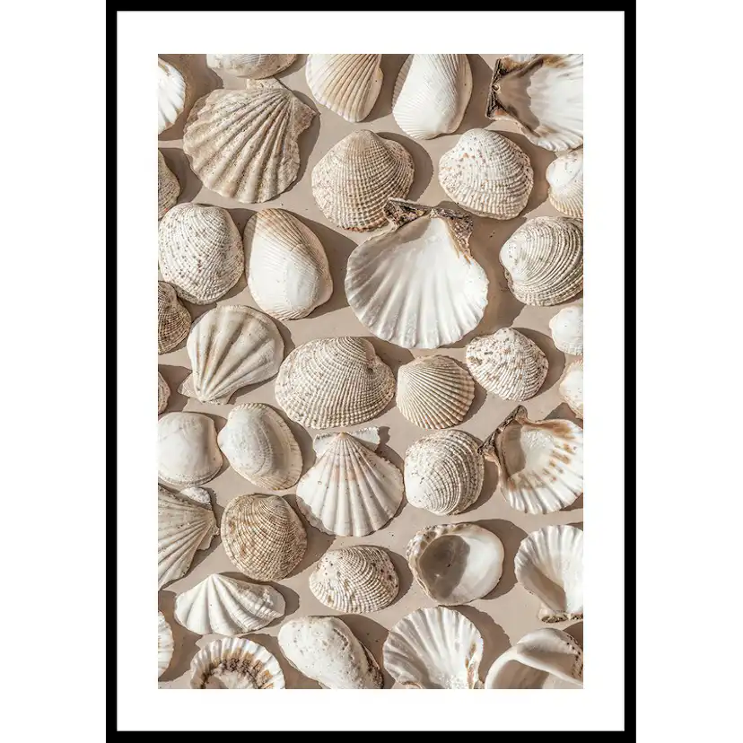 Poster Gallerix Coastal Seashell Medley