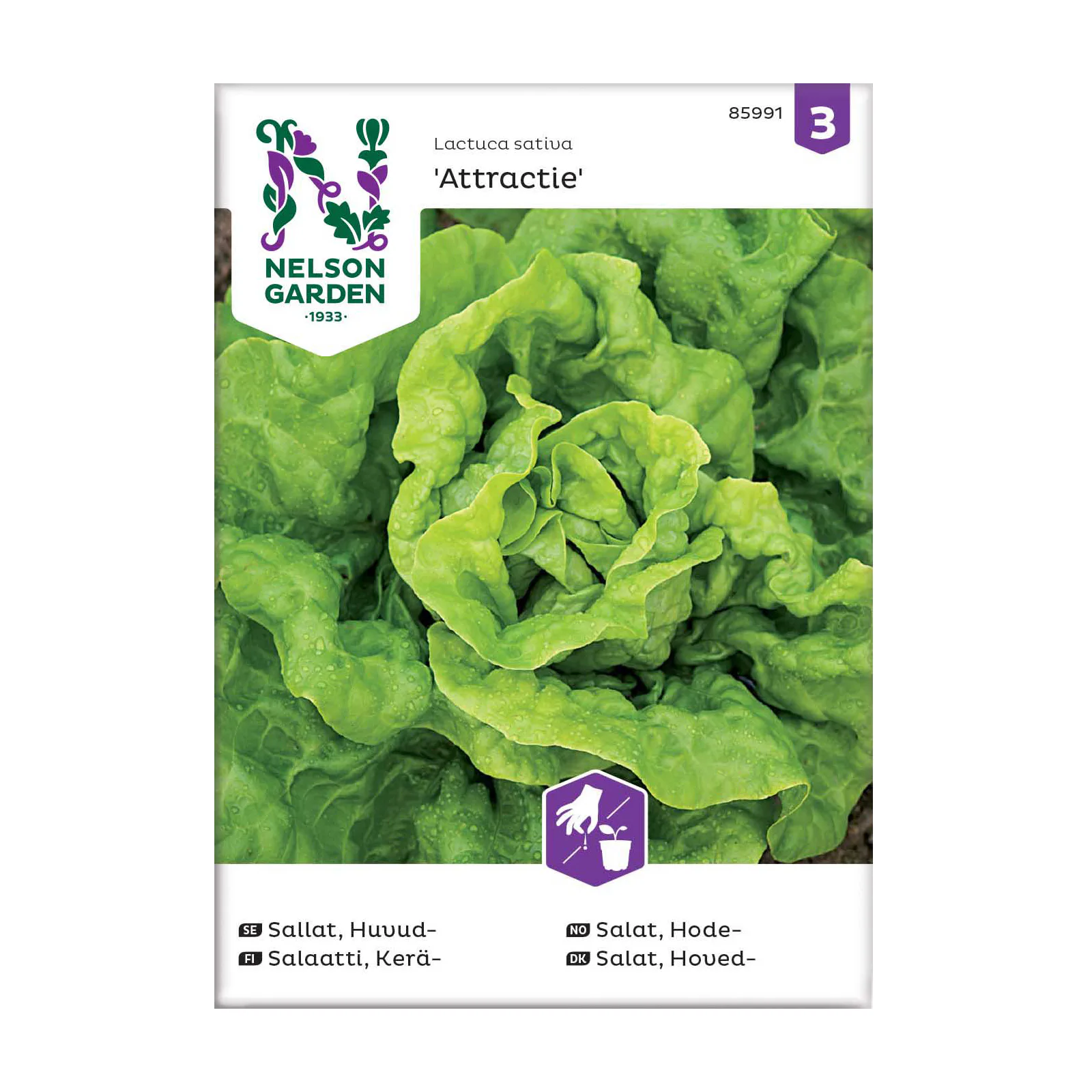 Frö Huvudsallat Nelson Garden Attractie