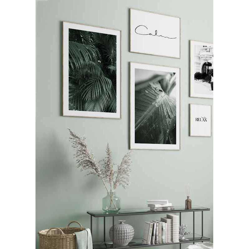 Poster Gallerix Palm Leaf Raindrops