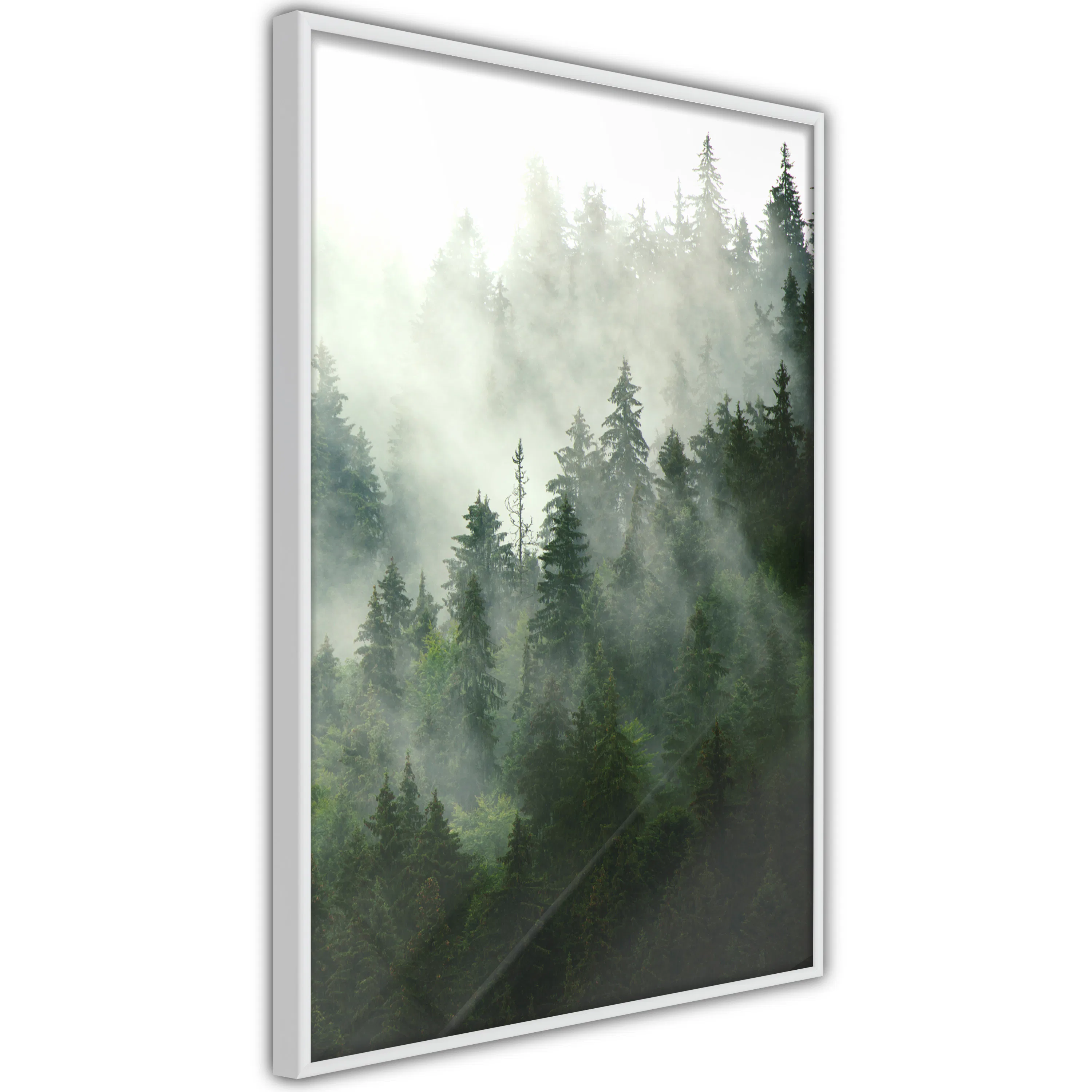 Poster Artgeist Affisch Coniferous Forest