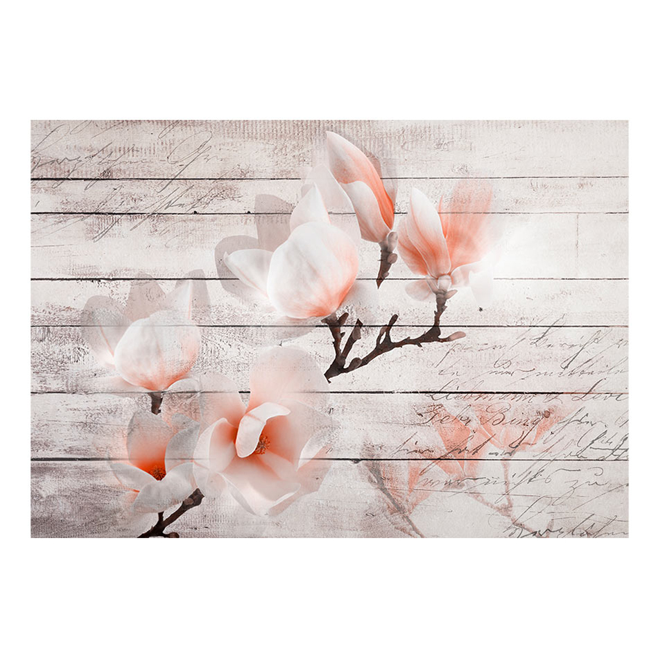 Fototapet Arkiio Subtlety Of The Magnolia