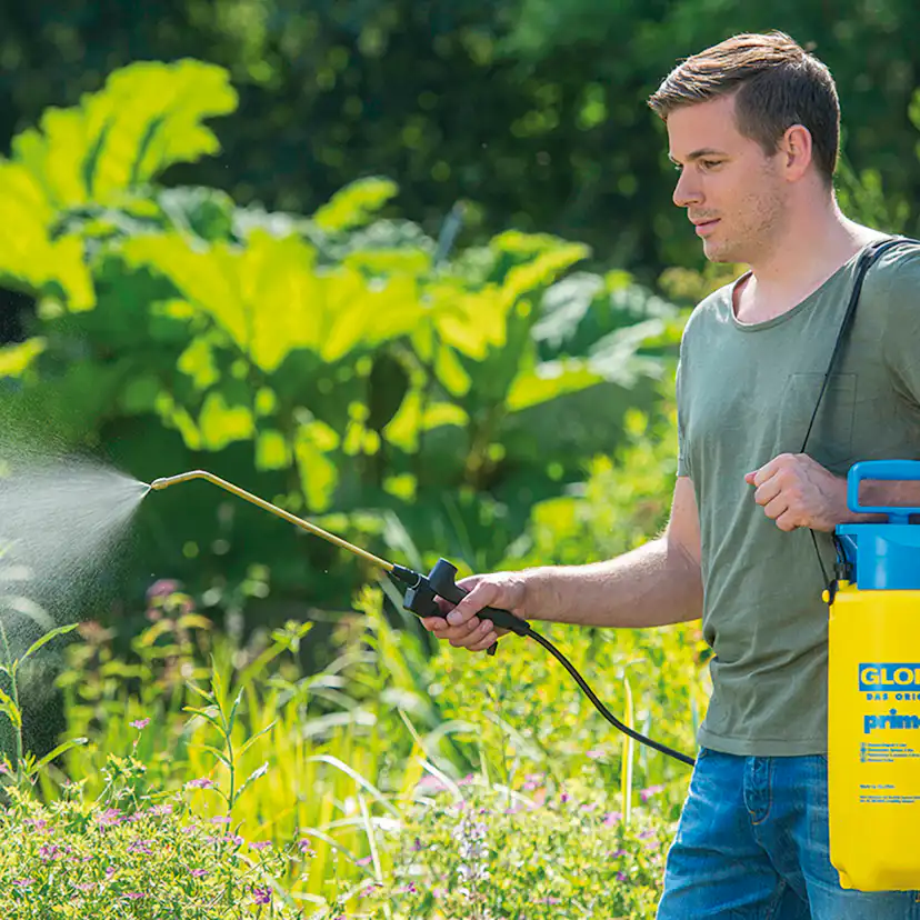 Tryckspruta Gloria Prima 5