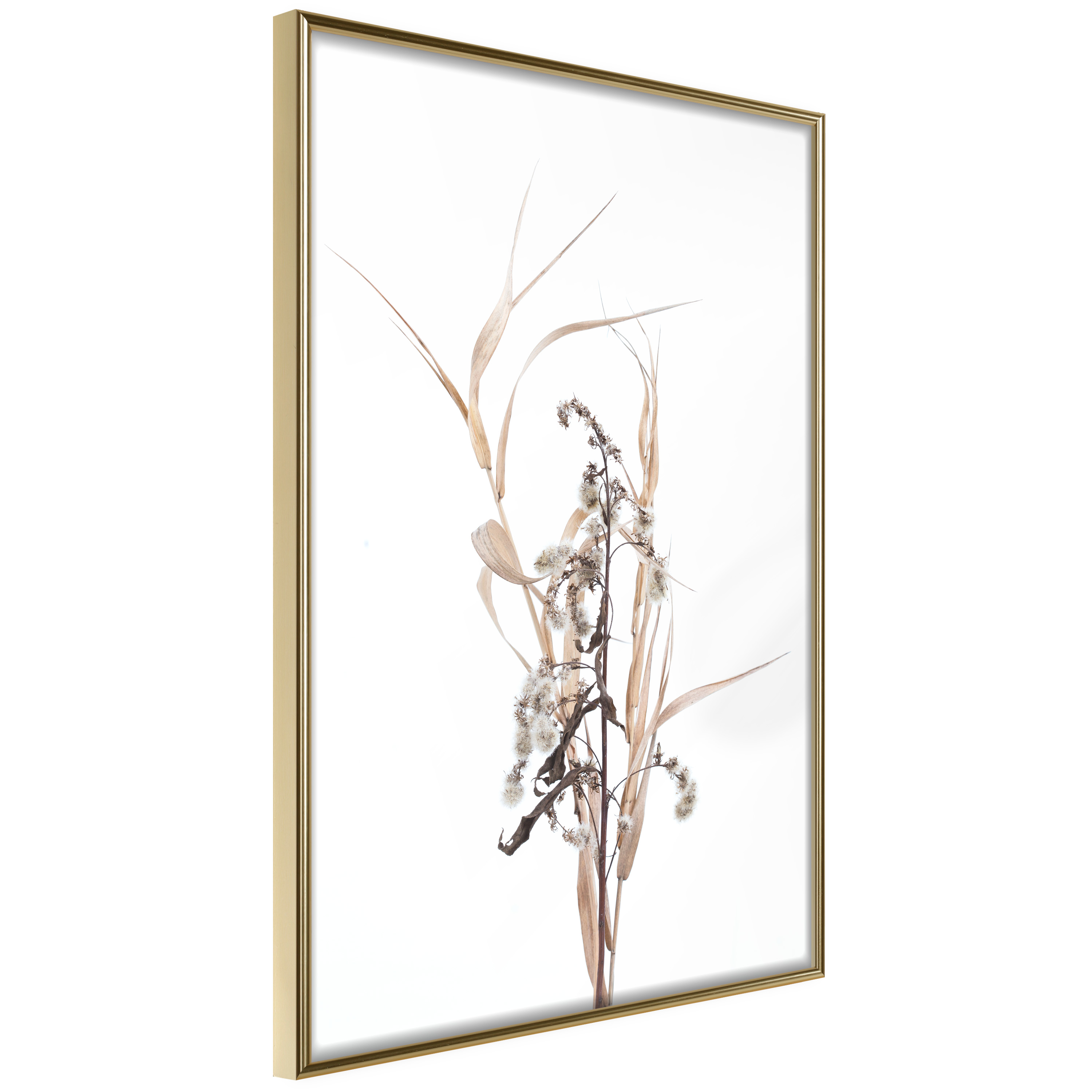 Affisch - Composition of Herbs [Poster] 40x60 Guld ram, 40x60 cm