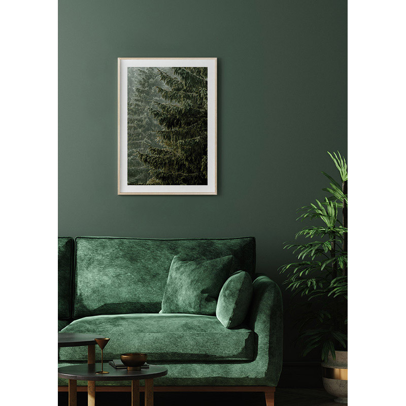 Poster Gallerix Spruce Trees