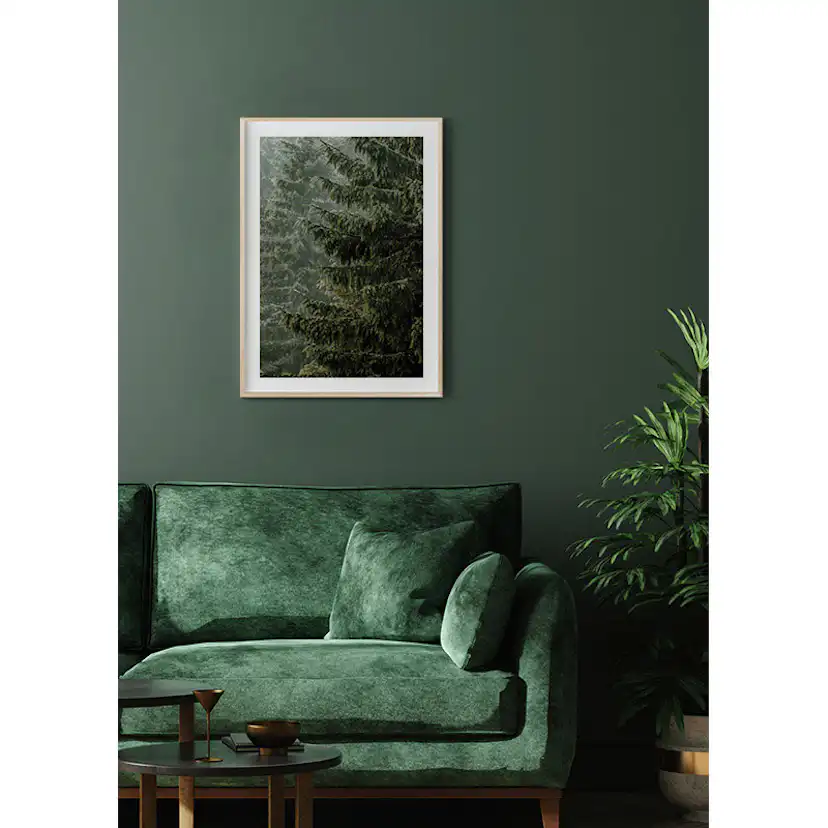 Poster Gallerix Spruce Trees