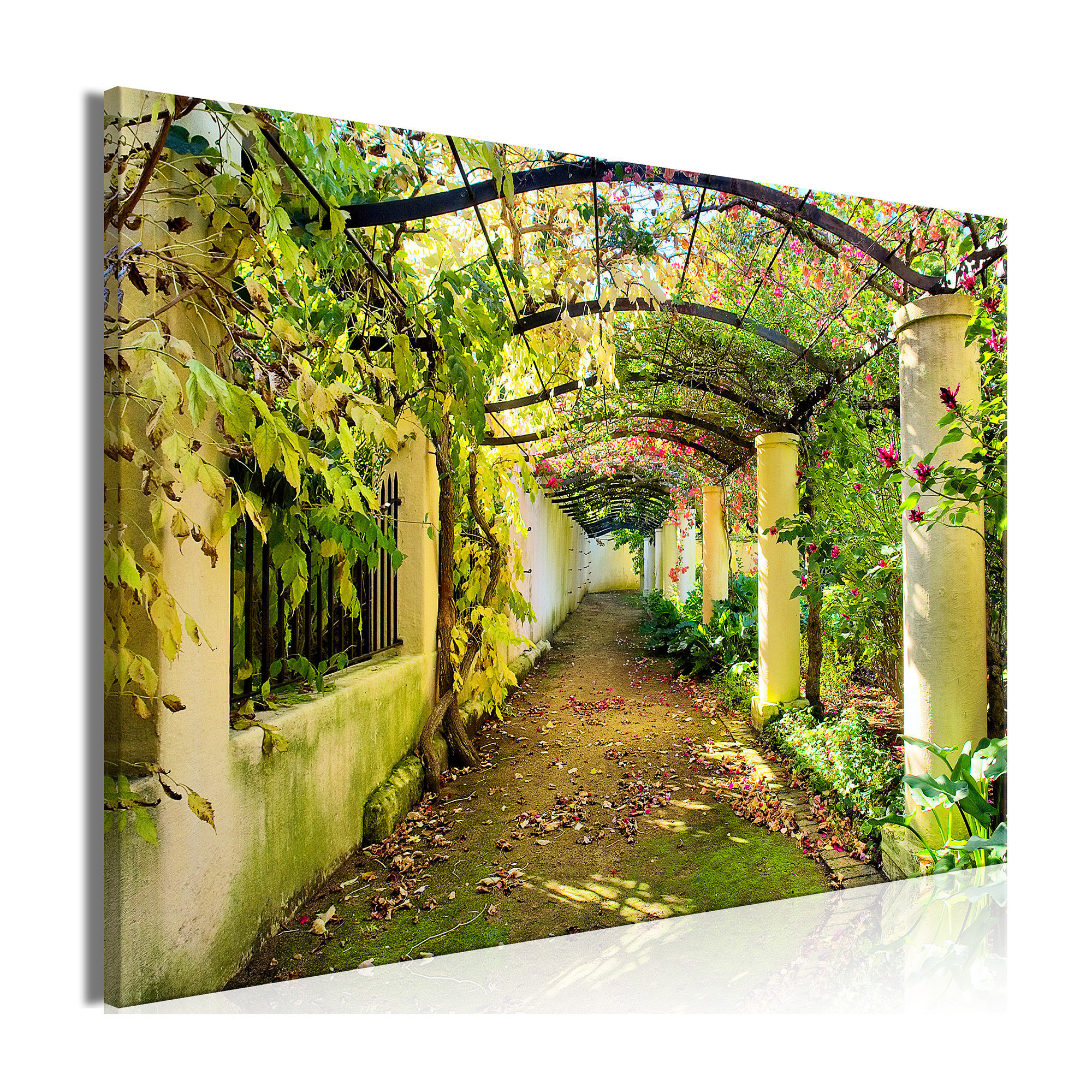 Tavla Arkiio Pergola