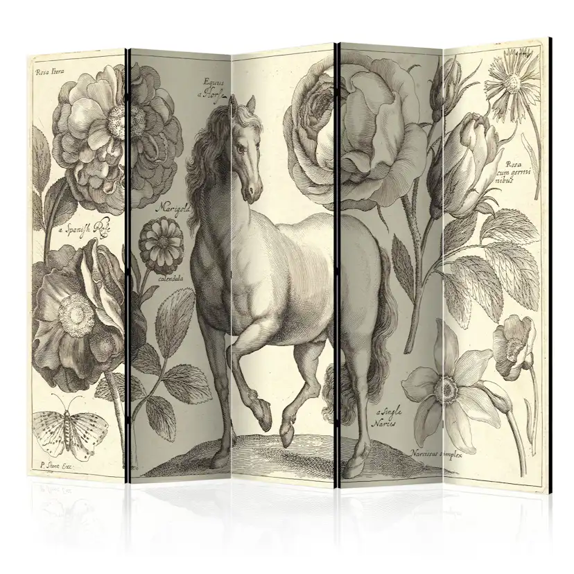 Rumsavdelare Arkiio Horse II 225x172 cm